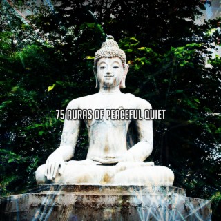 75 Auras Of Peaceful Quiet