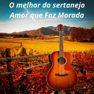 O melhor do sertanejo Amor que Faz Morada