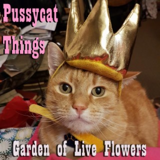 Pussycat Things