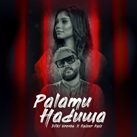 Palamu Haduwa ft. Kaizer Kaiz | Boomplay Music