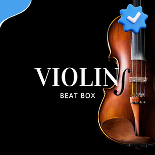 VIOLIN BEAT BOX