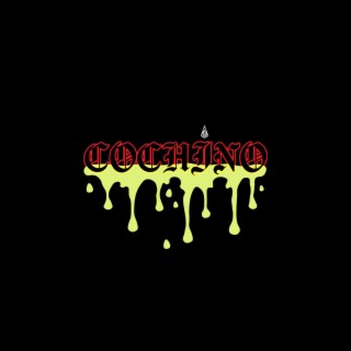 Cochino ft. Solsa lyrics | Boomplay Music