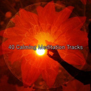 40 Calming Meditation Tracks