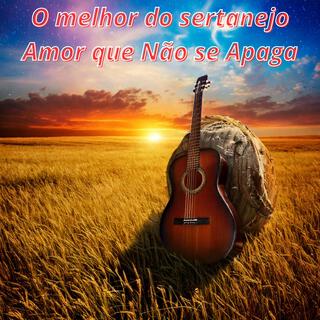 O melhor do sertanejo Amor que Não se Apaga