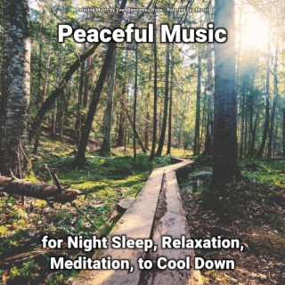 Peaceful Music for Night Sleep, Relaxation, Meditation, to Cool Down