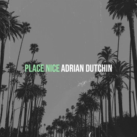 Place Nice | Boomplay Music