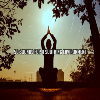 50 Sounds For A Soothing Environment