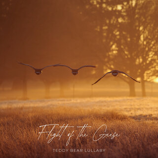 Flight of the Geese: Acoustic Folk Songs to Calm Little Ones