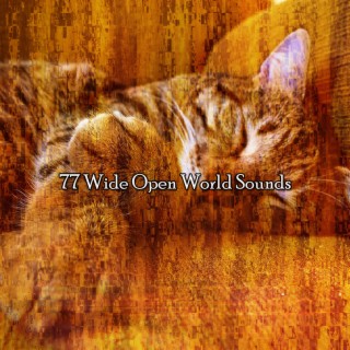 77 Wide Open World Sounds