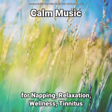 Calm Music for Reading ft. Relaxing Music by Vince Villin & Relaxing Spa Music
