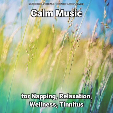 Recreative Perceptions ft. Yoga Music & Relaxing Spa Music