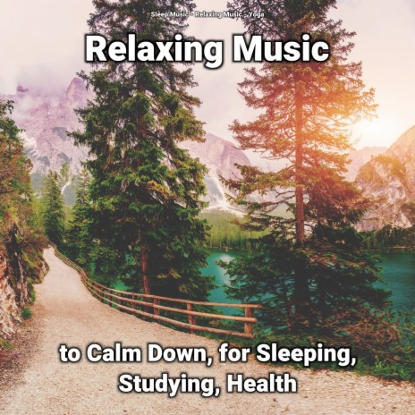 Revitalising Freedom ft. Sleep Music & Relaxing Music | Boomplay Music