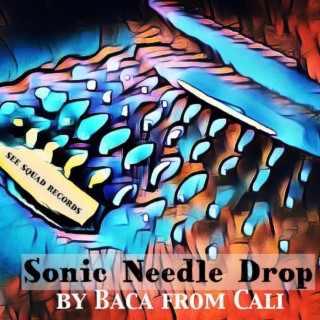 Sonic Needle Drop