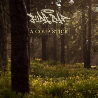 A Coup Stick