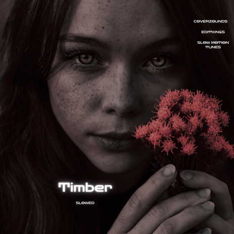 Timber (Slowed) ft. CoverZounds & Slow Motion Tunes | Boomplay Music