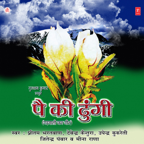 Suna Pahadu Ki Gaani | Boomplay Music