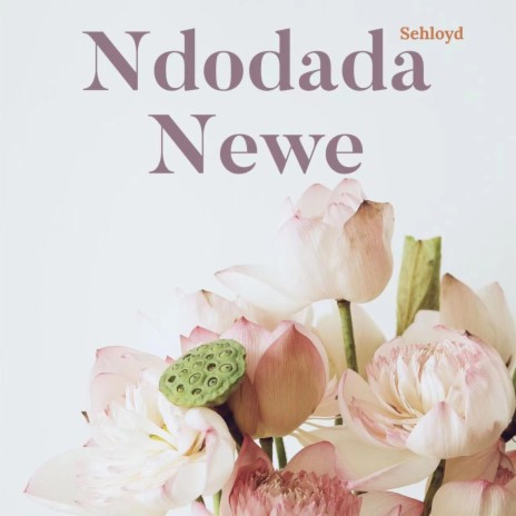 Ndodada Newe | Boomplay Music