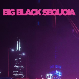 Big Black Sequioa