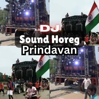 DJ Sound Horeg Prindavan