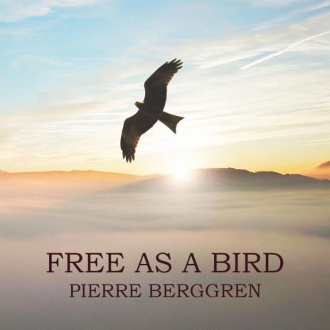 Free as a Bird | Boomplay Music