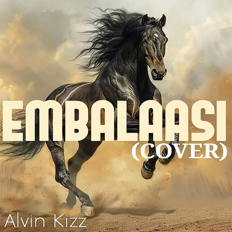 Embalaasi | Boomplay Music