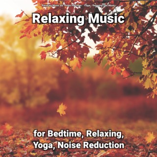 Relaxing Music for Bedtime, Relaxing, Yoga, Noise Reduction
