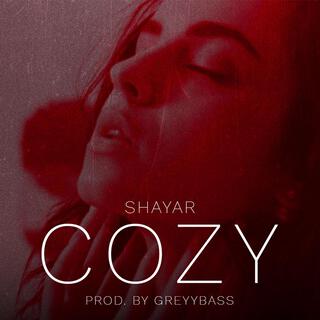 COZY ft. Greyybass lyrics | Boomplay Music