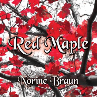 Red Maple