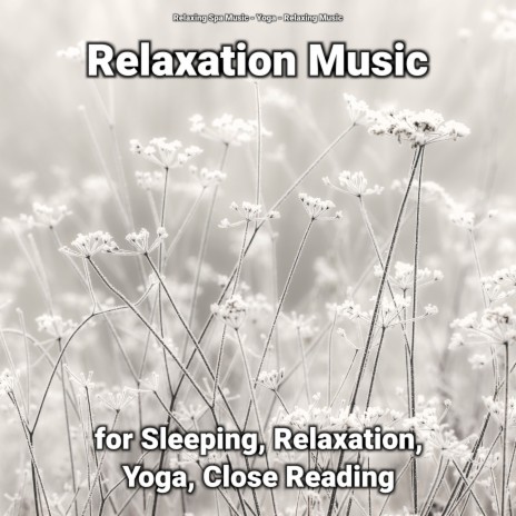 Relaxation Music ft. Relaxing Music & Relaxing Spa Music | Boomplay Music