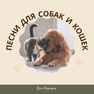 Песни для собак и кошек