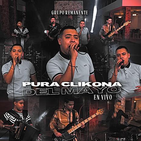 Pura Clikona Del Mayo (Live Version) | Boomplay Music