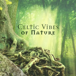 Celtic Vibes of Nature: Mystical & Magic Playlist Music 2022