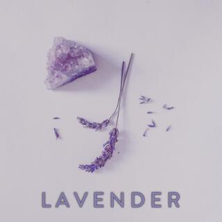 LAVENDER