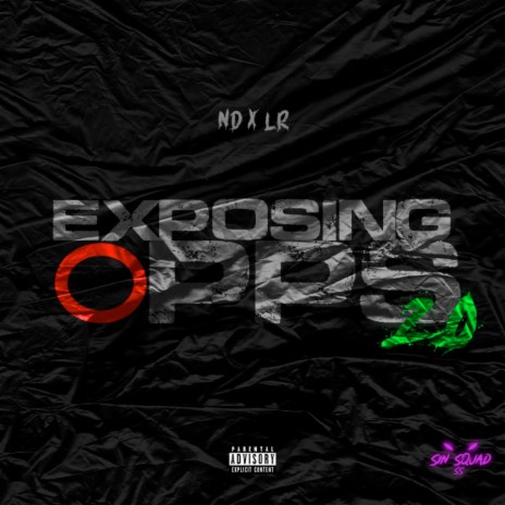 Exposing Opps 2.0 ft. ND & LR | Boomplay Music