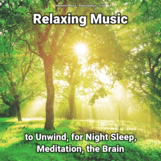 Relaxing Music to Unwind, for Night Sleep, Meditation, the Brain