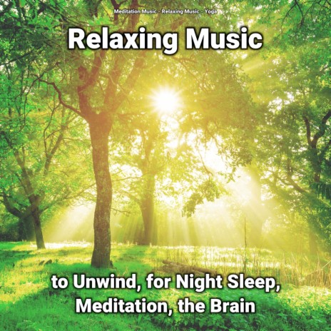 Reiki Music ft. Relaxing Music & Meditation Music | Boomplay Music
