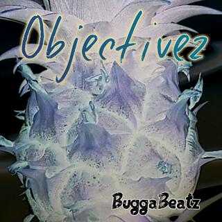 Objectivez