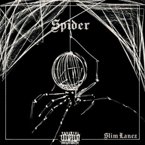 SPIDER | Boomplay Music