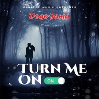 Turn Me On lyrics | Boomplay Music
