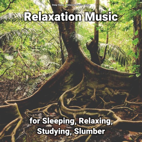 Relaxing Music for Sleeping ft. Yoga & Deep Sleep