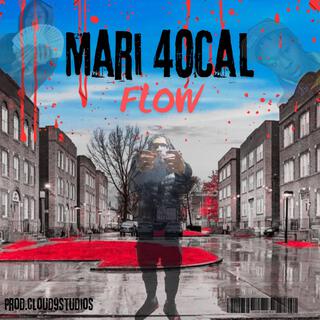 MARI40CAL FLOW