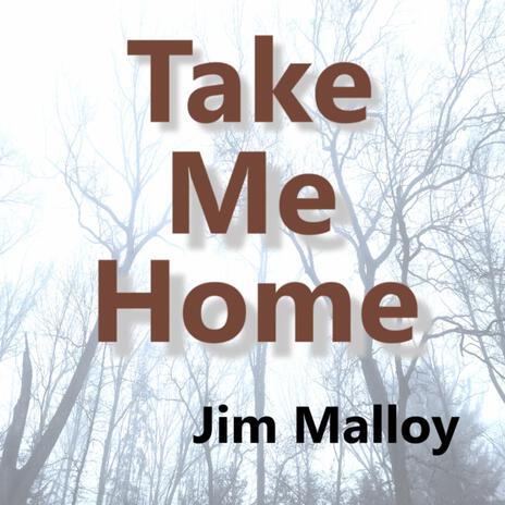 Take Me Home | Boomplay Music