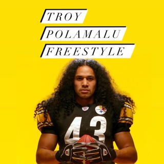 troy polamalu