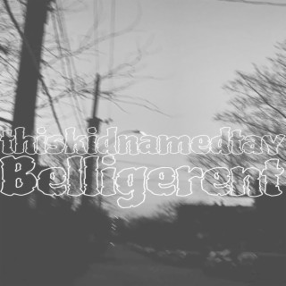 Belligerent