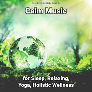 Calm Music for Sleep, Relaxing, Yoga, Holistic Wellness