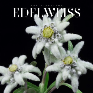 Edelweiss (Arr. for Guitar)