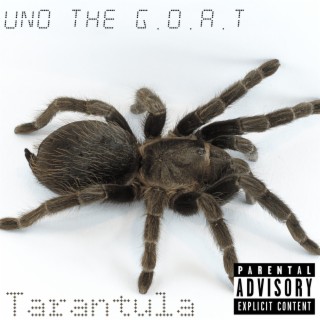 Tarantula