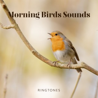 Morning Birds Sounds: Ringtones – Music for Relaxation, Meditation, Yoga , Naturescapes, Forest Ambience and Spa