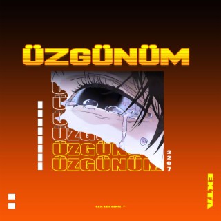 ÜZGÜNÜM lyrics | Boomplay Music