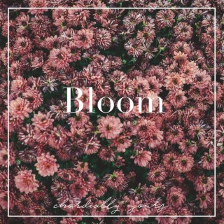 Bloom